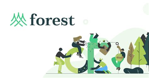 Forest Product