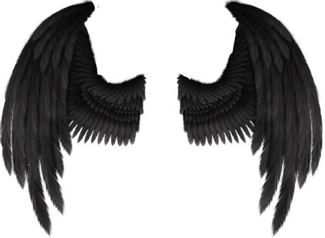 Cherub Angel Wing Fantasy Angel Png Download 655480 Free
