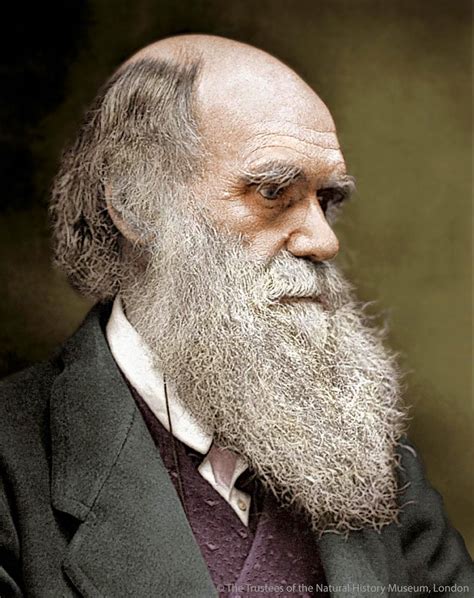 Interesting Facts About Charles Darwin Artofit