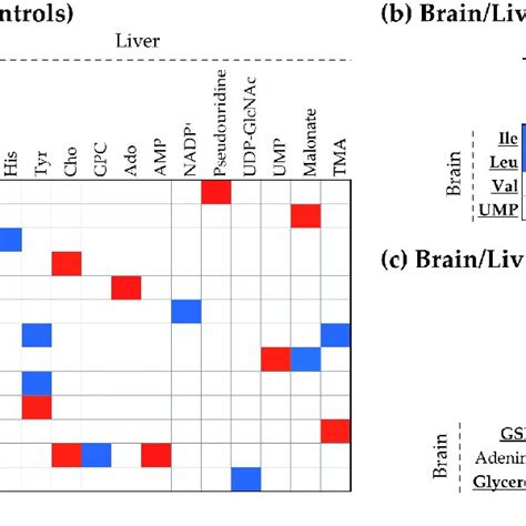 Spearman Correlations Between Significant Variations Between Liver And