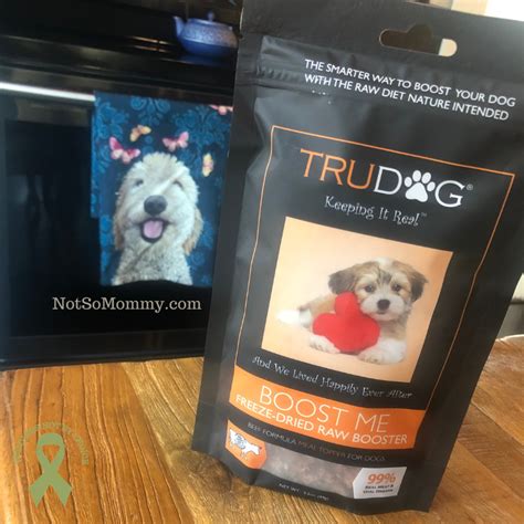 Trudog Boost Me Freeze Dried Raw Topper Review Not So Mommy