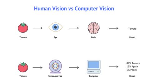 Computer Vision Vs Human Vision Unveiling The Battle Of Perception