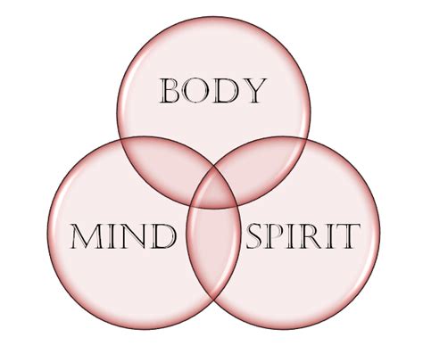 3 The Divinity Number 3 Circles Theory 3 Venn Diagram Body Mind