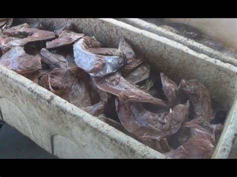 Bakar nasi di atas teflon atau tempat pembakaran dengan api. Kuliner Unik, Rahang Tuna Bakar Khas Manado - YouTube