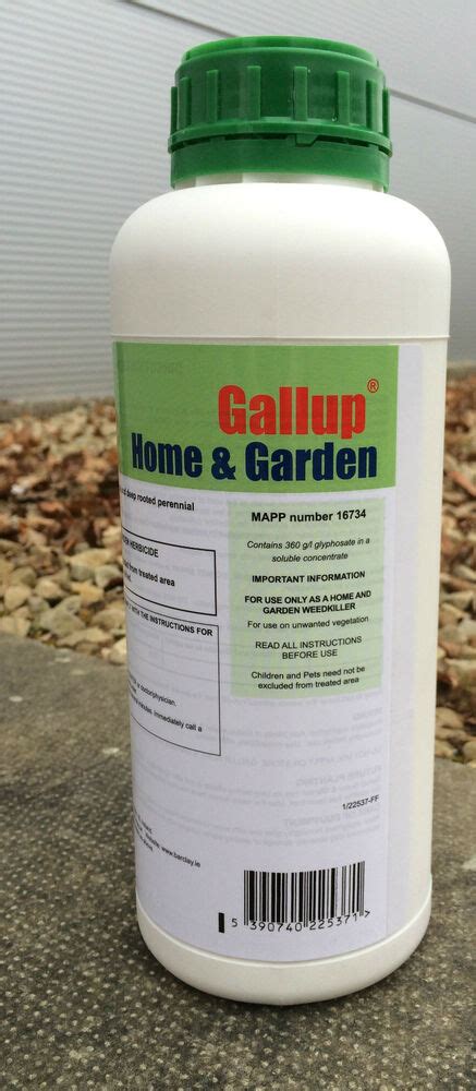 Repeat applications might be necessary, but if you treat the plant before it flowers and sets seed, then it won't flower and set seed. Gallup home and garden 1lt Glyphosate strong weed killer amatuer use label | eBay