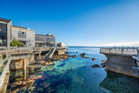 Exterior View Image Gallery Monterey Bay Aquarium