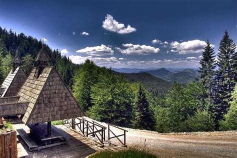 National Park Tara Serbia The Tara National Park In The Mountainous