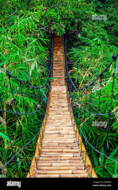 Rope Bridge Jungle High Resolution Stock Photography And Images Alamy
