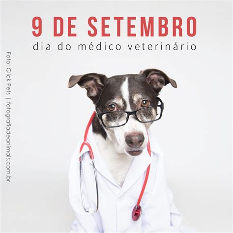 Dia Do Veterinario 2023