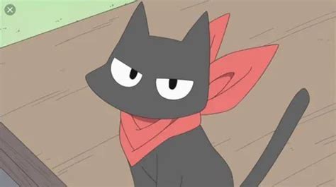 Cutest Anime Cats Characters You Will Adore In 2020 Trendy Cats