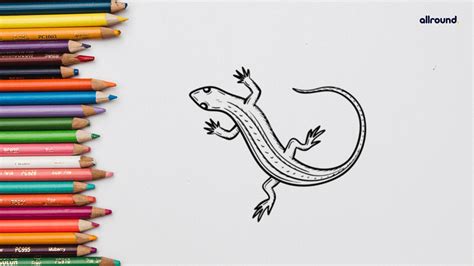 How To Draw A Lizard Step By Step Drawing Guide For Kids