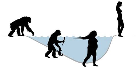 Human Evolution in the Sea at Bioko