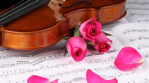 My Heart Is How Love Violin Beats According To Musical