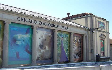 Brookfield Zoo Fires Employee Over Racial Comment In