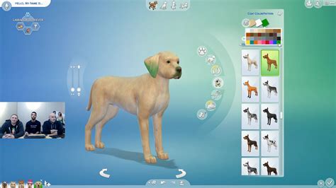The Sims 4 Cats And Dogs Create A Pet Live Stream Infoqanda Simsvip