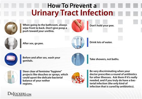 Phases To Support Urinary Health Naturally Drjockers Com