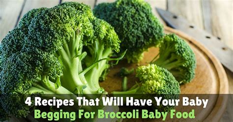 Note that broccolini is not baby broccoli. the vegetable is actually a cross between chinese broccoli, which tends to be very slender and leafy, and regular broccoli, with its thick stems and clusters of florets. 4 Recipes That Will Have Your Baby Begging For Broccoli ...