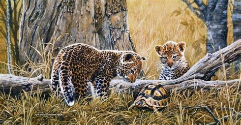 Leopard Cubs And Tortoise 1998 Johan Hoekstra Wildlife Art Big