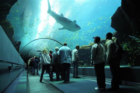 The Worlds Largest Aquarium 25 Pics Twistedsifter