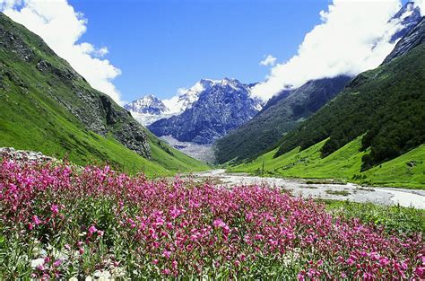 Valley Of Flowers National Park Uttarakhand All You Need To Know