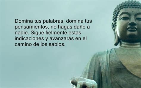 Frases De Meditación Y Reflexión ¡las Mejores Frases Sobre La