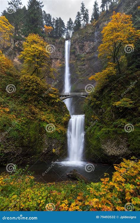 Multnomah Falls In Autumn Stock Photo Image Of Bridge 79493532