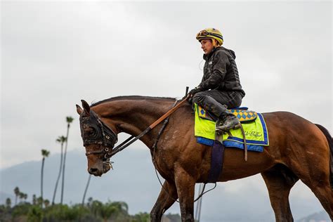 Five Breeders' Cup Horses to Consider at Attractive Odds | America's ...