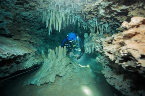 Swimming Into The Unknown Mexicos Unmapped Underwater Caves In