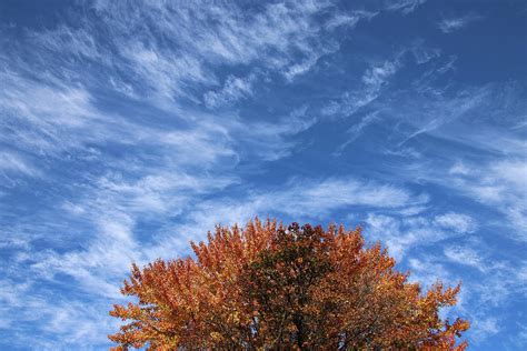 Autumn Blue Sky Wispy Clouds Photograph By Marlin And Laura Hum Pixels