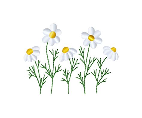 Daisy Embroidery Design Daisies Machine Embroidery Designs Etsy