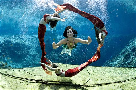 Weeki Wachee On Pinterest Florida Mermaids And Manatees