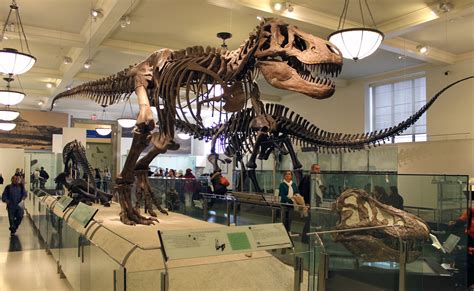 12 Worlds Best Dinosaur Museums Paleontology World