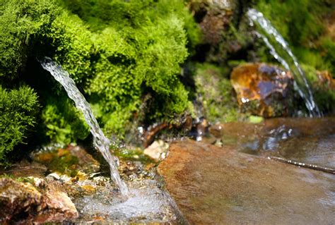 Dependable Water Supply What To Do With A Natural Spring On Your