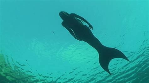 Video Real Life Mermaids Swim With Sea Creatures Abc News