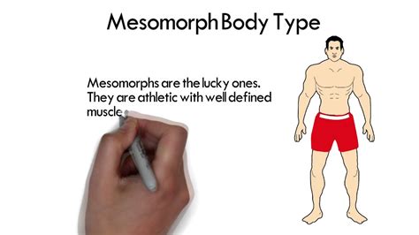 Mesomorph Body Type Youtube