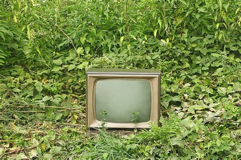 Old Tv Set Among Green Plants Set Circuit Time Photo Background And