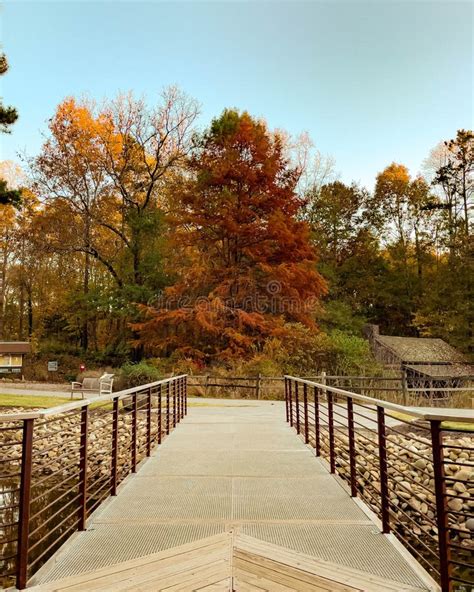 Vertical Shot Of A Small Bridge At Clemson University Botanical Gardens