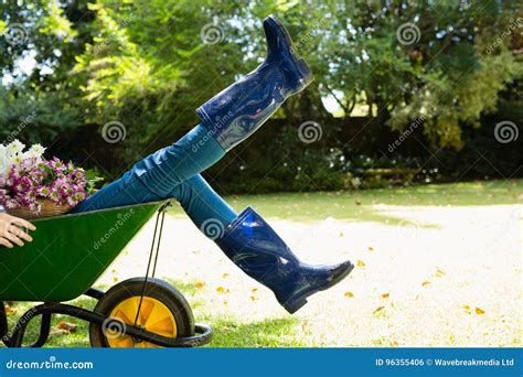 Woman Sitting In Wheelbarrow At Garden Editorial Photo Image Of