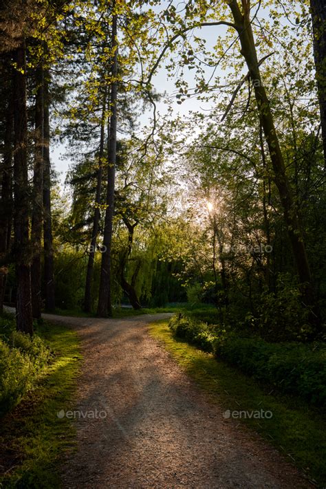 Alley In The Green Spring Park In Domain Rivierenhof Stock Photo By