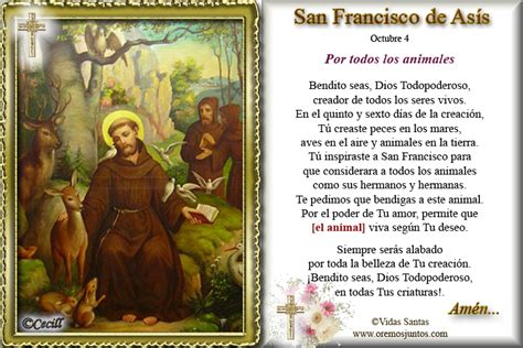 Oración A San Francisco De Asís Por Las Mascotas Rezo Para El Santo