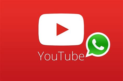 Whatsapp üçün maraqli statuslar | whatsapp video status. WhatsApp testing YouTube support feature