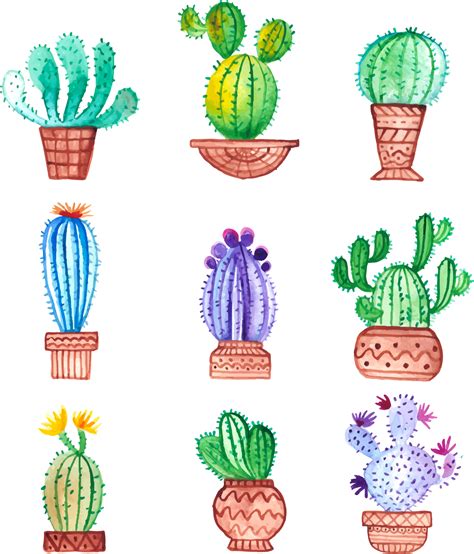 Photo enthusiasts have uploaded roots clipart cactus for free download here! Succulent clipart hand painted, Succulent hand painted ...