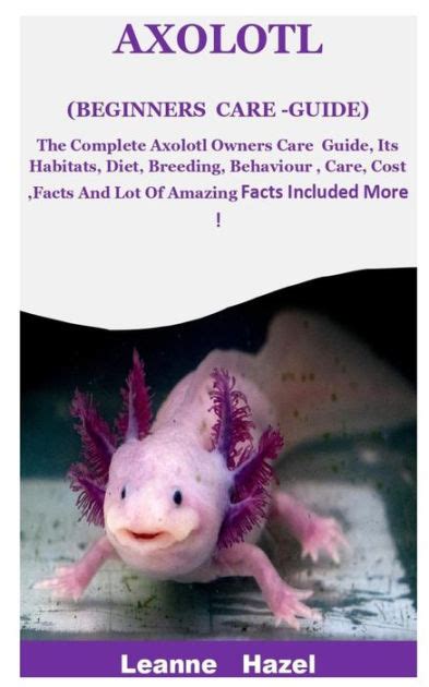 The Beginners Axolotl Care Guide Axolotl Care Axolotl Axolotl Pet Images And Photos Finder
