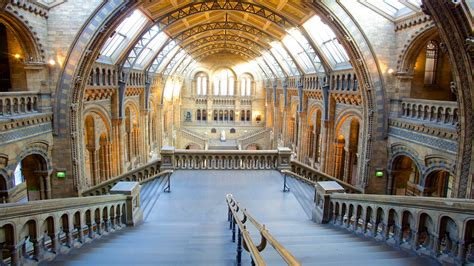Natural History Museum London Holiday Accommodation Holiday Houses