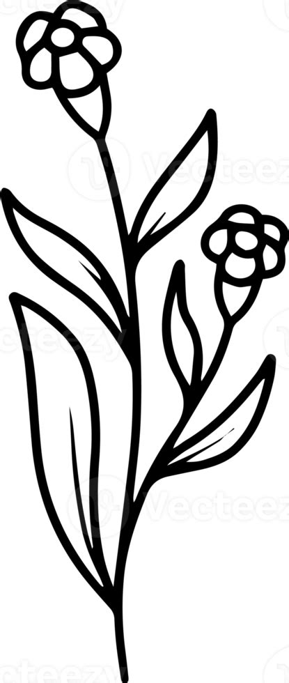 Flowers Sketch Line Art Illustration 10863575 Png