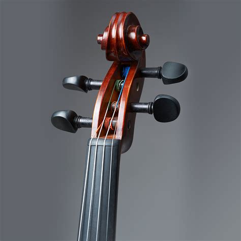 Realist Rv4e 4 String Electric Acoustic Violin — Vermont Violins