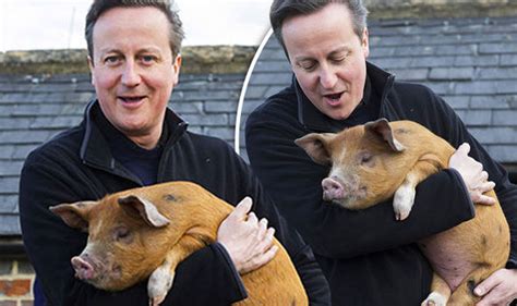David Cameron Put Private Part In Dead Pigs Mouth Biography Claims