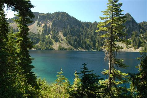 Small drop shot style setups with worms or soft plastics are effective. Marmot Lake | Washington Department of Fish & Wildlife