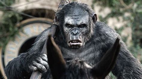 Сериалы и фильмы доступны платно: Художественный фильм «Планета обезьян: Революция». Фильмы ...