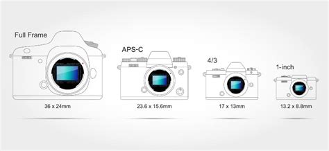 Digital Camera Sensor Sizes Compared